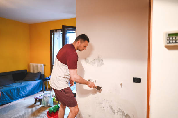 Best Residential Mold Remediation in Vineyards, FL